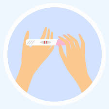 Clearblue ovulationstest digital bestimmt die 2 fruchtbarsten tage 99% zuverlässigkeit digitale ergebnisse » jetzt online kaufen bei windeln.de. Schwangerschaftstest Ovulationstest Erfahrungen Und Tipps