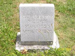 Ruth Eleanor Meeks (1854-1926)