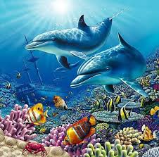 Dauphins Art De Dauphin Tortue Dessin Dauphin