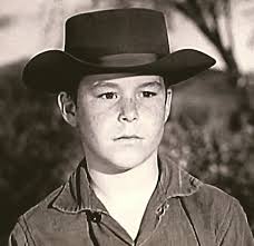 Wagon Train" The Levy-McGowan Story (TV Episode 1962)