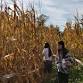 EYC Corn Maze Challenge event in Mt Dora, FL