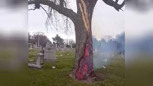 Quand un arbre est frappé par la foudre, il peut carrément exploser, mais généralement les dégâts sont plus discrets. Video Frappe Par La Foudre Un Arbre Brule De L Interieur