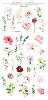 Drawing Flowers Vintage Tattoos 17 Ideas Flower Arrangements Flower Names Flower Guide