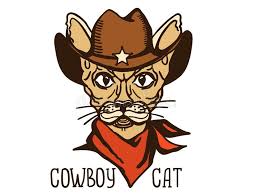 Pacifico (cowboy version) — phenomenal cat. Cat Cowboy Stock Illustrations 386 Cat Cowboy Stock Illustrations Vectors Clipart Dreamstime