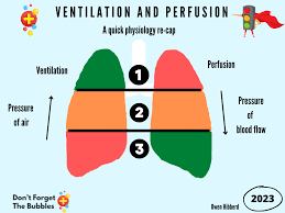Image result for End-Tidal O2