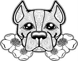 Pin On Animal Coloring Pages