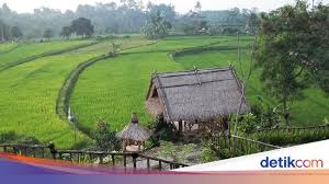 27 lukisan pemandangan rumah di tepi sawah gambar pemandangan gunung dan rumah yang mudah gambar download 8 resort tepi sawah p di 2020 pemandangan lukisan gambar. Redakan Stres Sambil Makan Enak Di 5 Resto Alam Di Bogor