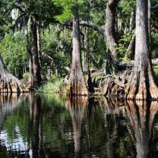 Within the park's boundaries, you will find wildlife unique to this swampy habitat, natural formations of great beauty and recreation opportunities that exist only at florida's southernmost tip. The 10 Best Everglades National Park Hotels Where To Stay In Everglades National Park Usa