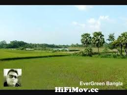 You can download free mp3 as a separate song and download a music collection from any artist, which of course will save you a lot of time. Bondhu Tomar Bhalobasha Amay Pagol Kore Diyeche From Amai Pagol Watch Video Hifimov Cc