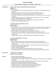 Payment Processing Resume Samples Velvet Jobs