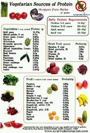 Plant Based Protein Information Chart Vegetarian Protein Sources Vegetarian Protein Food