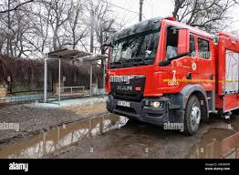 Image result for Yellow 1980 Queensland State Emergency