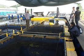 Keramba Jaring Apung Ramah Lingkungan Aquatec
