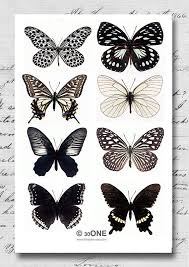 Black Blue And White Butterfly Meaning Pin On Body Art Tattoos