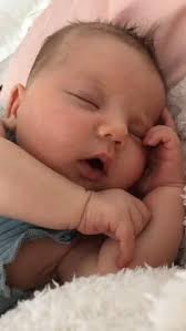 98 Cove Ferris ideas