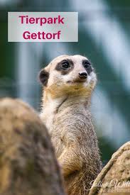 Tierpark Gettorf Ausfugsziel An Der Ostsee Tierpark Ausflug Ostsee