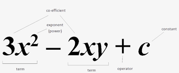 equations pronumeral in algebra free transparent png download pngkey equations pronumeral in algebra