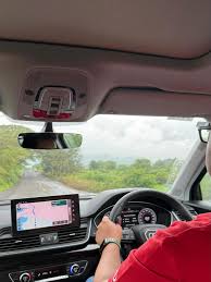 Image result for Azorean Green 2017 Q5