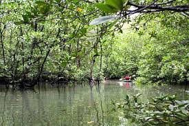 Start studying bercuti di pulau langkawi. 3 Adventurous Things Must Do In Langkawi Malaysia Cari Homestay