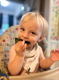 Healthy Food Options for Toddlers, Including Seaweed