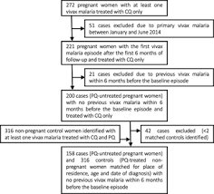 Quantifying And Preventing Plasmodium Vivax Recurrences In Primaquine Untreated Pregnant Women An Observational And Modeling Study In Brazil