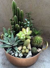 Los cactus y otras crasas o suculentas son un grupo de plantas fascinantes. Suculentas En Centros De Mesa Para Bodas Y Arreglos Con Cactus