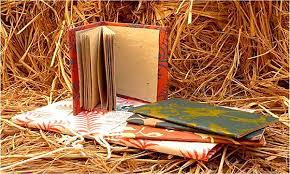 Straw is an agricultural byproduct consisting of the dry stalks of cereal plants after the grain and chaff have been removed. How To Make Paper From Rice Straw Paper Making Business