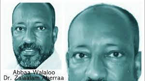 Hayyuu oromoo walaloo isaatiin heedduu beekamu dr.zelalem abera. Du A Gurraacha The Black Death Youtube