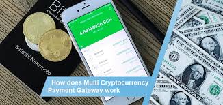 Understand why crypto is so risky. How Does Multi Cryptocurrency Payment Gateway Work Payspace