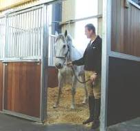 Stablemat, alfombra de caucho segura y funcional para ...