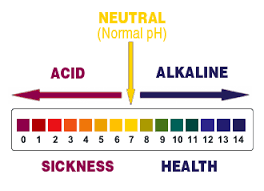 During the spring and summer, one's diet should be 80% alkaline and 20% acidic. Top Alkaline Foods To Eat Acid Foods To Avoid Nbi