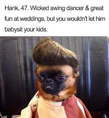 See more ideas about aesthetic anime anime icons kawaii anime. 63 Dog Bios That Will Hilariously Remind You Of Somebody You Know Bored Panda