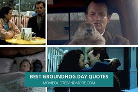 How many times over the years has the groundhog seen his shadow? Best Quotes From Groundhog Day