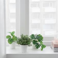 Fejka Artifi Potted Plant W Pot Set Of 3 Indoor Outdoor Green 2 Ikea Ikea Plants Plants Artificial Plants