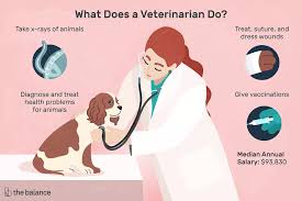 A veterinary assistant is responsible for performing a vast array of duties over the course of a typical workday. Veterinarian Job Description Salary Skills More Veterinarian Veterinarian Career Vet Tech School