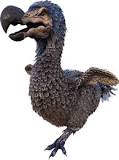what-do-you-feed-dodos-in-ark