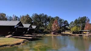 Maybe you would like to learn more about one of these? Reserve Your Holiday Cabin On Sam Rayburn With Koa Brookeland Setx Family
