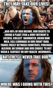 52 pretty good memes for mediocre times. The Best Braveheart Memes Memedroid