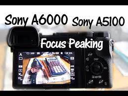 Sony A6000 And A6300 Focus Peaking Youtube Sony A6000 Tutorial Sony Camera Sony A6000