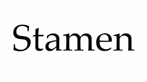 Look up tutorials on youtube on how to pronounce 'jacinth'. How To Pronounce Stamen Youtube