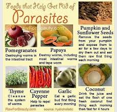 Pin On Nature S Apothecary