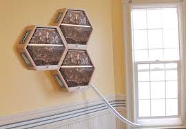Diese Firma Ermoglicht Es Dass Man Bienenkorbe Im Wohnzimmer Installiert Und Den Bienen Dabei Zusieht Wie Sie Die Wel Bienen Bienenhaus Bienenzucht Im Garten