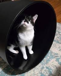 We have not found Menace yet. He hasn't even shown up