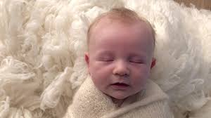 Welcome to Bella Rose Portraits