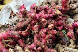 Dalam kebanyakan kasus, hanya satu polip yang tumbuh di saluran serviks atau permukaan serviks. Cegah Kanker Serviks Dengan Ramuan Tradisional Republika Online