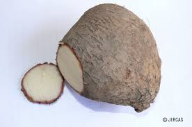 Image result for Dioscorea alata