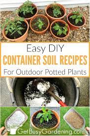 How To Make Potting Soil For Containers With Recipe Potted Plants Outdoor Container Gardening Garden Soil Mix