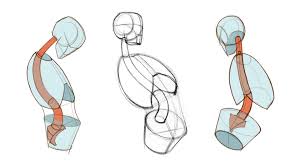 How To Draw The Spine Proko Check out these 22 tutorials showing you how to draw hair. how to draw the spine proko