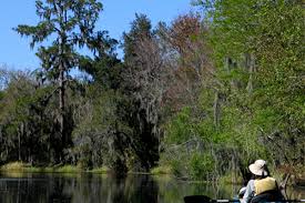 Image result for Alafia