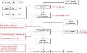 De bekerwinst van krc genk verzekert ons van europees voetbal. Work Flow For The Rsca Experiments Described In This Report Each Step Download Scientific Diagram
